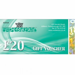 Twenty Pound Gift Voucher
